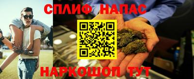 прущие грибы Балаково